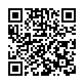 山東晨鳴紙業集團股份有限公司第十一屆董事會第二次會議決議公告