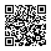 深圳「光明烙畫」亮相中國美術館