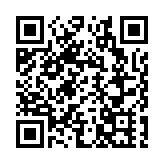 自貿試驗區崇左片區：制度創新+智慧賦能 共築發展新格局