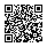 來鳳以藤茶為媒 繪就招商新藍圖