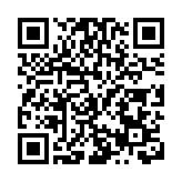 萌翻了 長隆野生動物世界考拉寶寶正式亮相