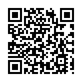 2026年中越跨國春節聯歡晚會暨邊民大聯歡活動舉行