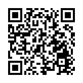 百色元宵非遺大集開鑼 七大板塊展民俗新趣