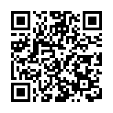 深耕數智化二十載 築就灣區產業新生態