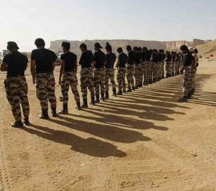 沙特组34国反恐联盟 巴：看新闻才知被组