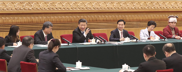 習近平參加人大廣東代表團審議 粵港澳攜手打造國際一流灣區