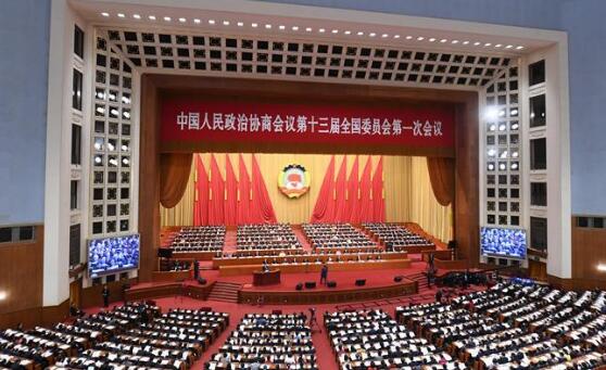 【政协全体会议】王荣：支持粤港澳联手打造世界级大湾区