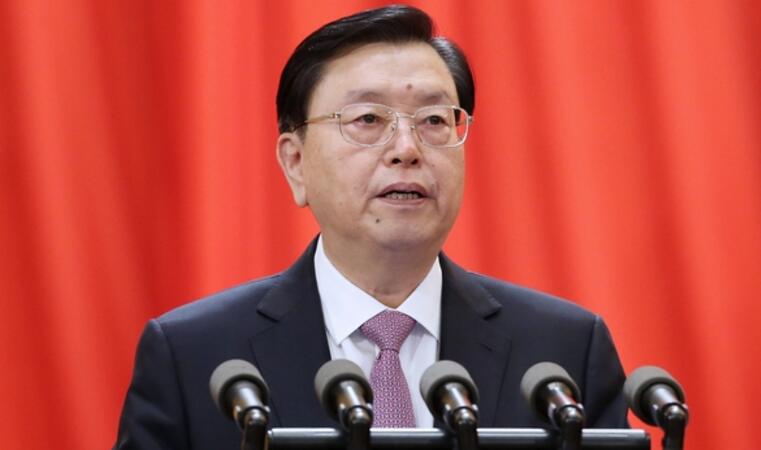 張德江作人大常委會工作報告指出 堅決反「港獨」捍衛憲法權威
