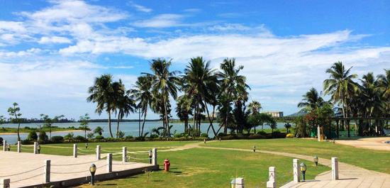 管清友：博鳌现场的十点观察