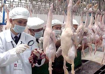 【改革開放40年大家談】保障供港食物穩定安全