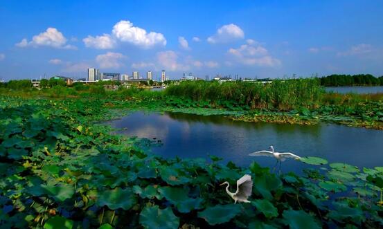 无锡，万亿之城亦能诗意栖居