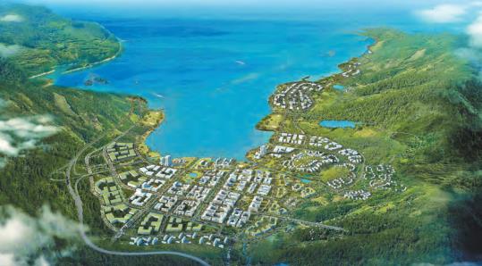 深圳大鵬新區：20項新舉措打造國際一流營商環境高地