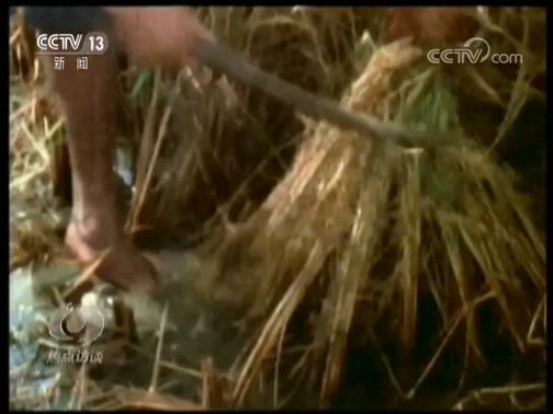 40年伟大的变革 披荆斩棘成大道