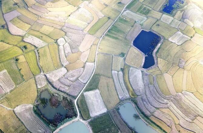 今天这场庆祝大会上，习近平提到的这几句古语，意义非凡！