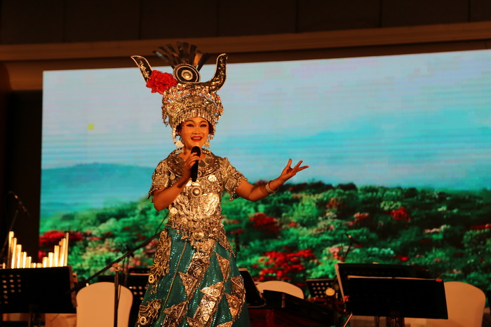 2019新年音乐会在尼泊尔举办