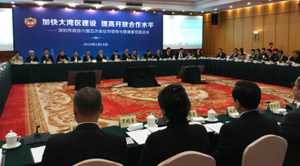畅言大湾区建设 深圳领导与港澳政协委员座谈