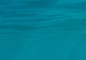 【盤點2017】今年啟德賣地進帳466億 九龍東蓄積起飛動力