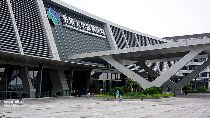 香港國際化優勢引領大灣區