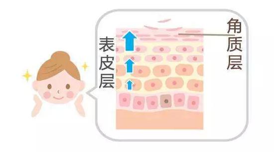 皮肤角质该如何调理？