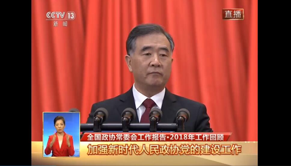 汪洋：全面準確貫徹「一國兩制」 落實粵港澳大灣區規劃綱要