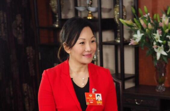 大灣區委員提案逾百份 聚焦弱勢群體與民企發展