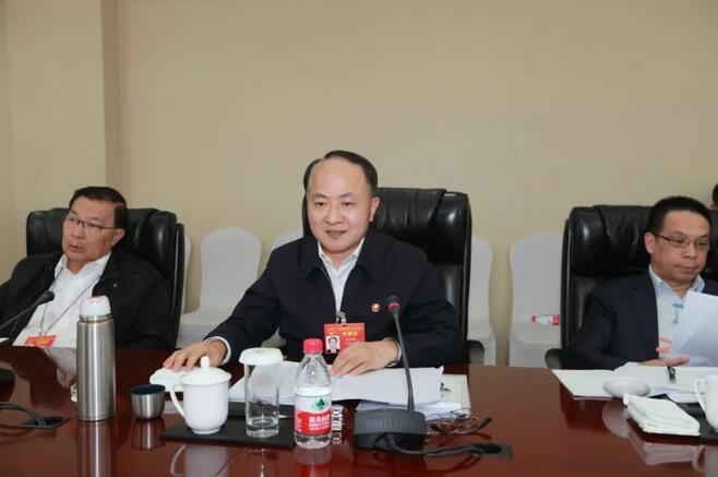 王志民在参加香港代表团审议政府工作报告时的发言