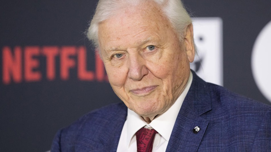 《我们的星球》是下一部神级纪录片吗？