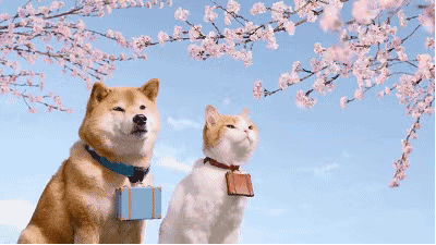 2019樱花限定来袭 哪些新品被抢疯?