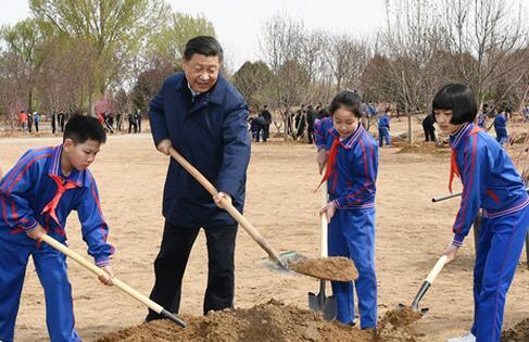 【央视快评】众人植树树成林