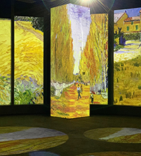 三千幅作品走進梵高世界