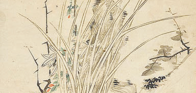 綺蘭含香 清逸空靈