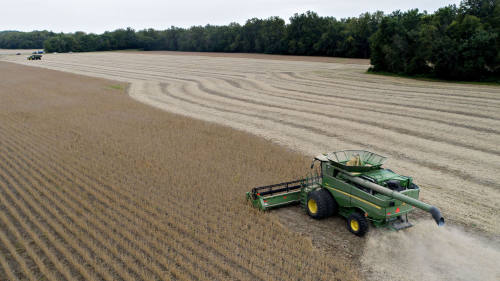 美豆一年重挫20% 巴西坐稳最大出口国