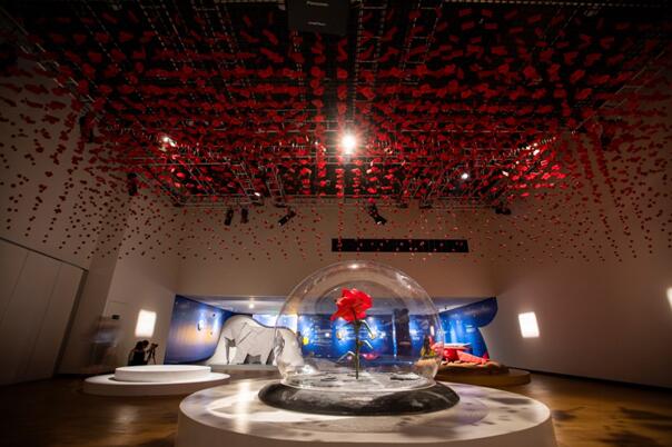 “夢想啟航” 小王子主題展再現童話場景