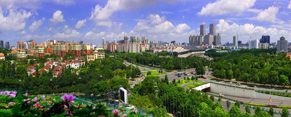 中山：打造國際一流灣區城市