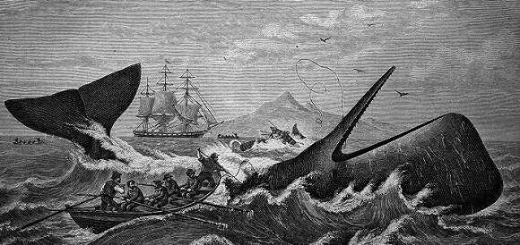 【梅尔维尔诞辰200年】6个我们今天仍要读《白鲸》的理由