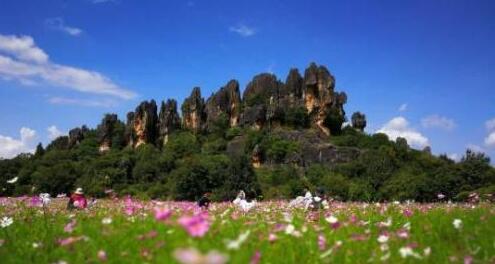 昆明石林景区回应“被文旅部通报批评”：做好整改