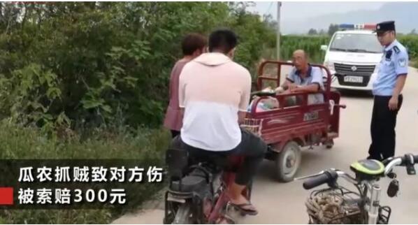 “瓜农抓贼反赔300元”后续：偷瓜者被行拘，涉事警察被停职