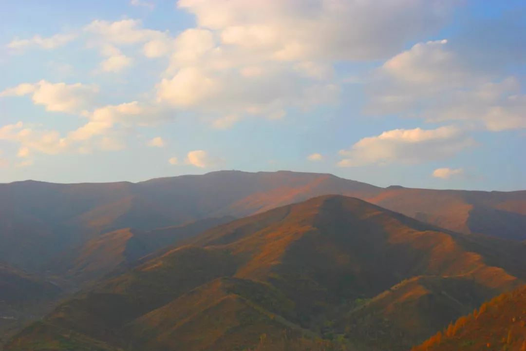 风烟做出秋模样，人间万事成惆怅|今日立秋