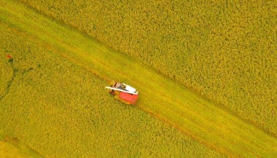 中國端穩糧食安全「飯碗」