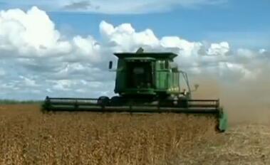 美媒齊發聲：美政府無權強迫美企撤出中國