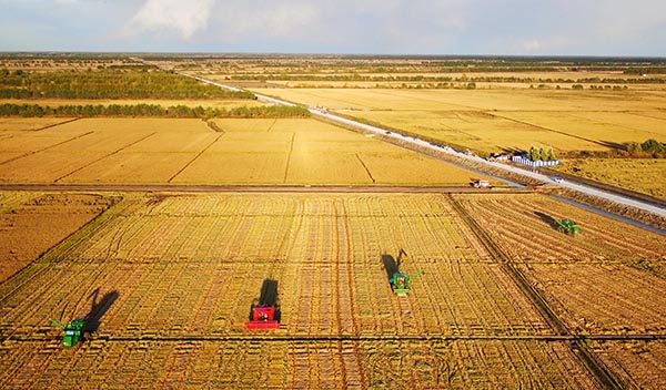 【国庆专稿】農業現代化 蹄疾而步穩