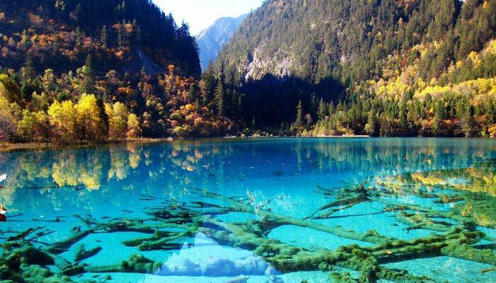 九寨沟单日接待游客上限增至8000人