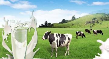 淺談乳業股前景