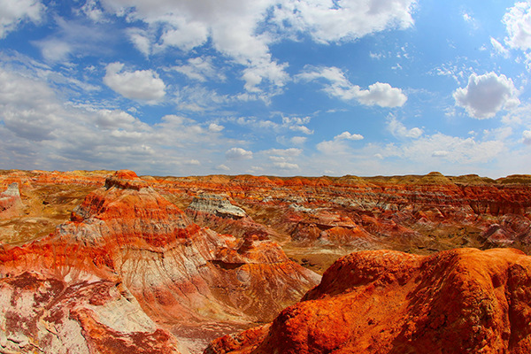 新疆宁夏成热门，这个双十一旅游消费火在哪?