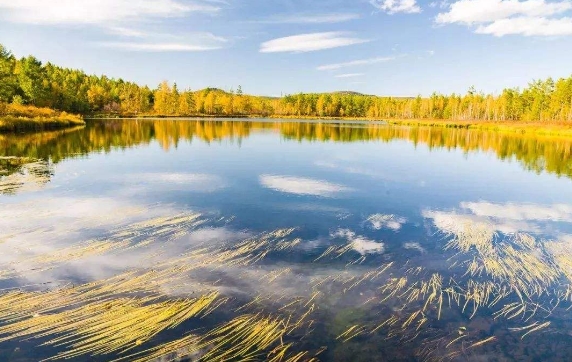 零下40度不结冰 不冻河的秘密 原来是这样