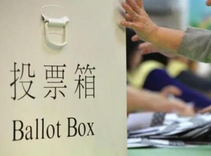 區選的政治表態現象