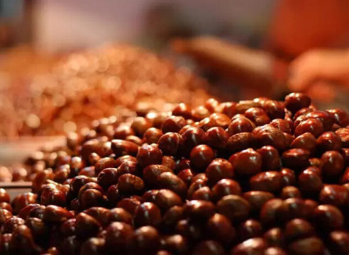 周作人：记忆里的冬天，是炒栗子的味道