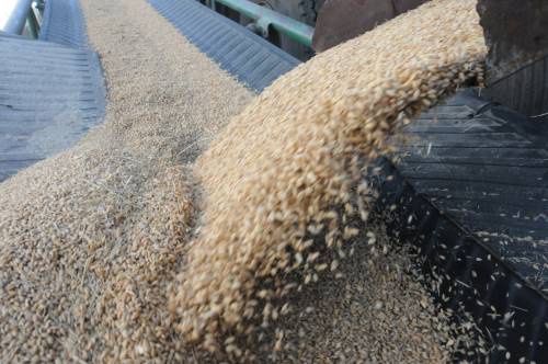 外媒：巴西正赶超美国成全球最大大豆生产国