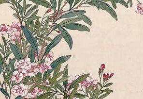 春花爛漫石玲瓏