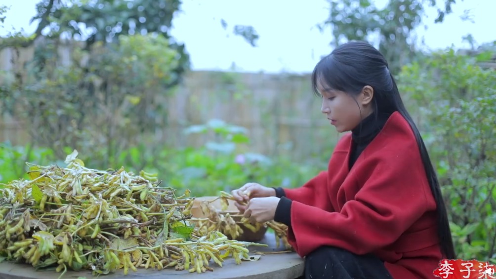 李子柒的“流水线牧歌”